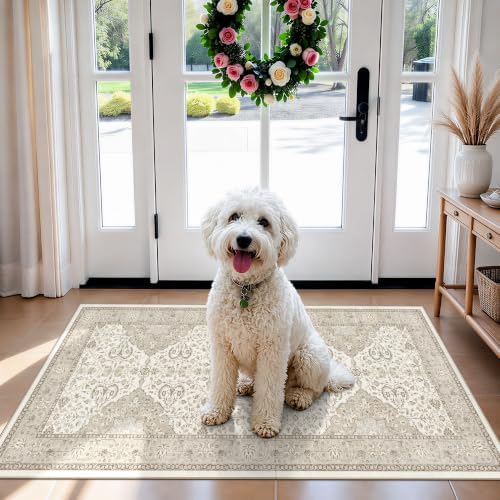 HY HAOYUNLAI Washable 2x3 Entryway Area Rug Non-Slip Slim-Profile Carpet by HYHAOYUNLAI