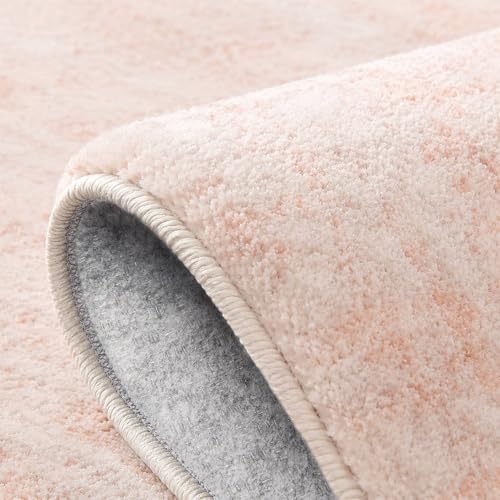 Soft Plush 6x9 Pink Area Rugs for Living Room - Image 4
