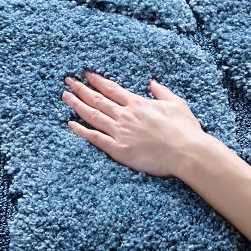 SAFAVIEH Florida Shag Rug 4'x6', Soft Plush Light Blue & Blue SG471-6065 by Unknown