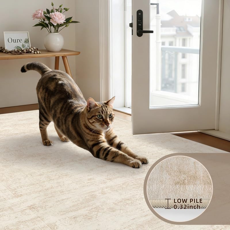 3x5 Area Rugs Living Room: Bedroom Washable Carpet Retro Beige - Image 7