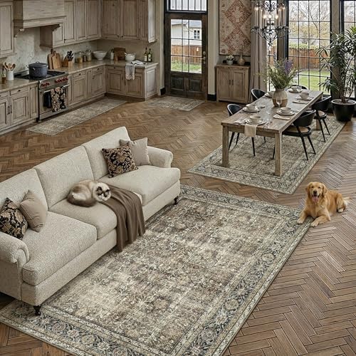 PureCozy Brown Small Area Rug 4x6 Vintage Traditional Distressed - Image 3