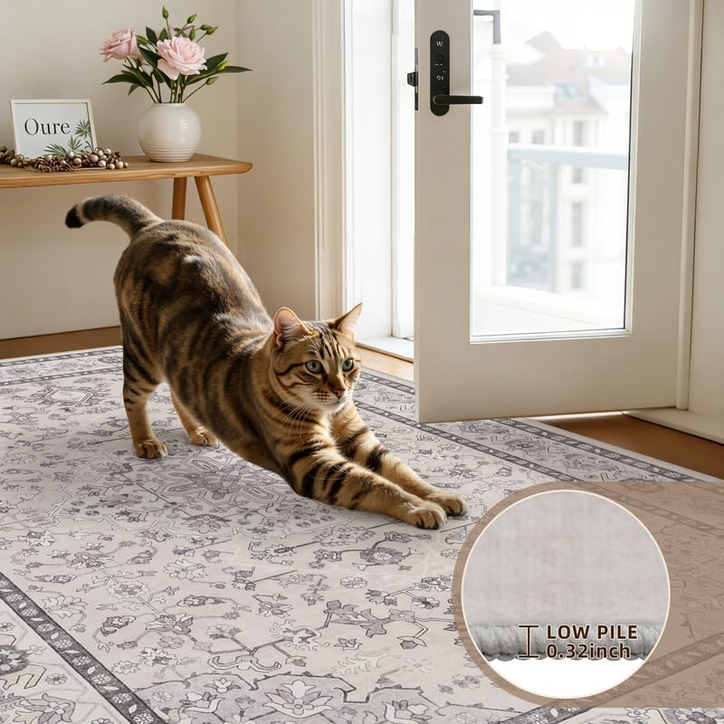 6x9 Area Rugs Living Room: Bedroom Washable Carpet Beige & Grey - Image 7