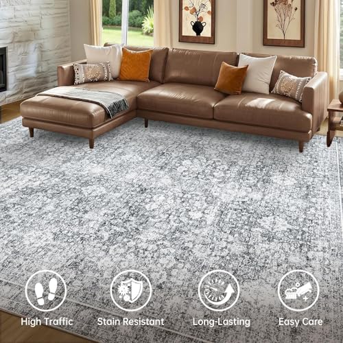 Sasttie 4x6 Area Rugs, Ultra-Soft Washable Rug for Living Room, Light Grey - Image 2