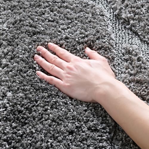 SAFAVIEH Florida Shag Rug 3'3"x5'3", Soft Plush Modern Grey SG471-8080 by Unknown