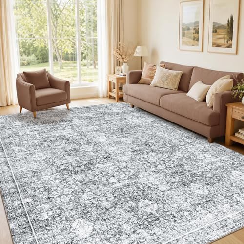 Sasttie 4x6 Area Rugs, Ultra-Soft Washable Rug for Living Room, Light Grey by SASTTIE