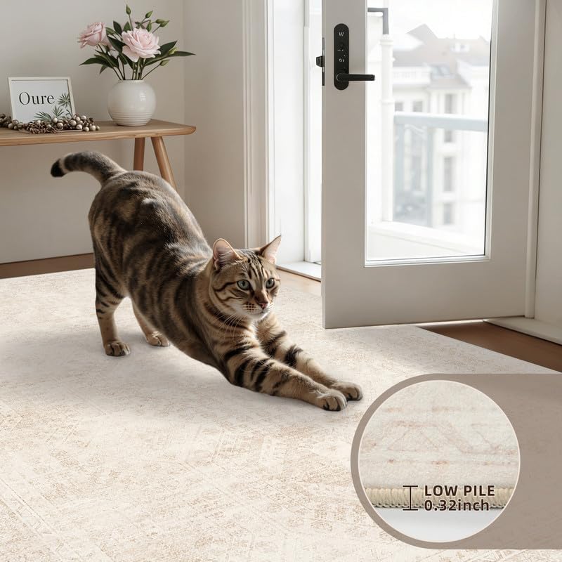 3x5 Area Rugs Living Room: Bedroom Neutral Washable Carpet Beige - Image 7