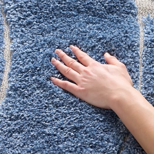 SAFAVIEH Florida Shag Rug 4'x6', Soft Plush Light Blue & Cream SG471-6011 by Unknown