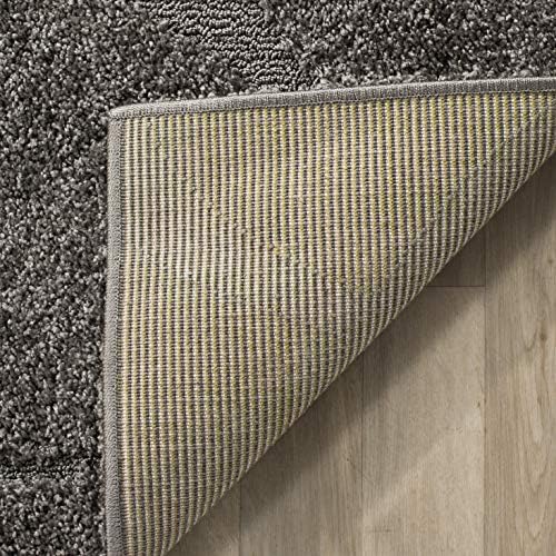 SAFAVIEH Florida Shag Rug 3'3"x5'3", Soft Plush Modern Grey SG471-8080 - Image 6