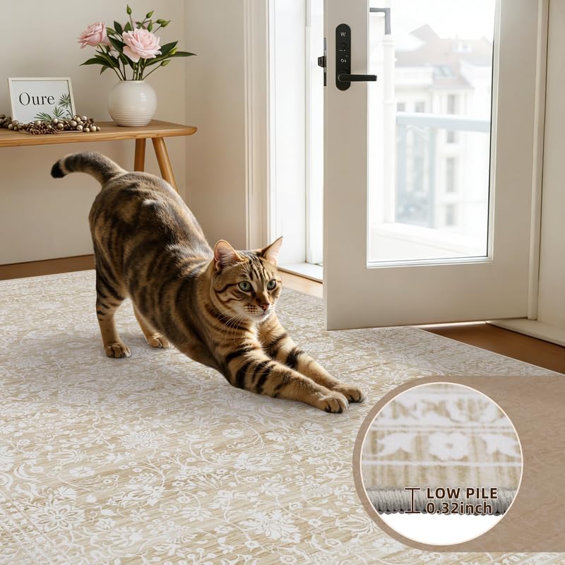 5x7 Area Rugs Living Room: Bedroom Washable Carpet Natural Beige - Image 7