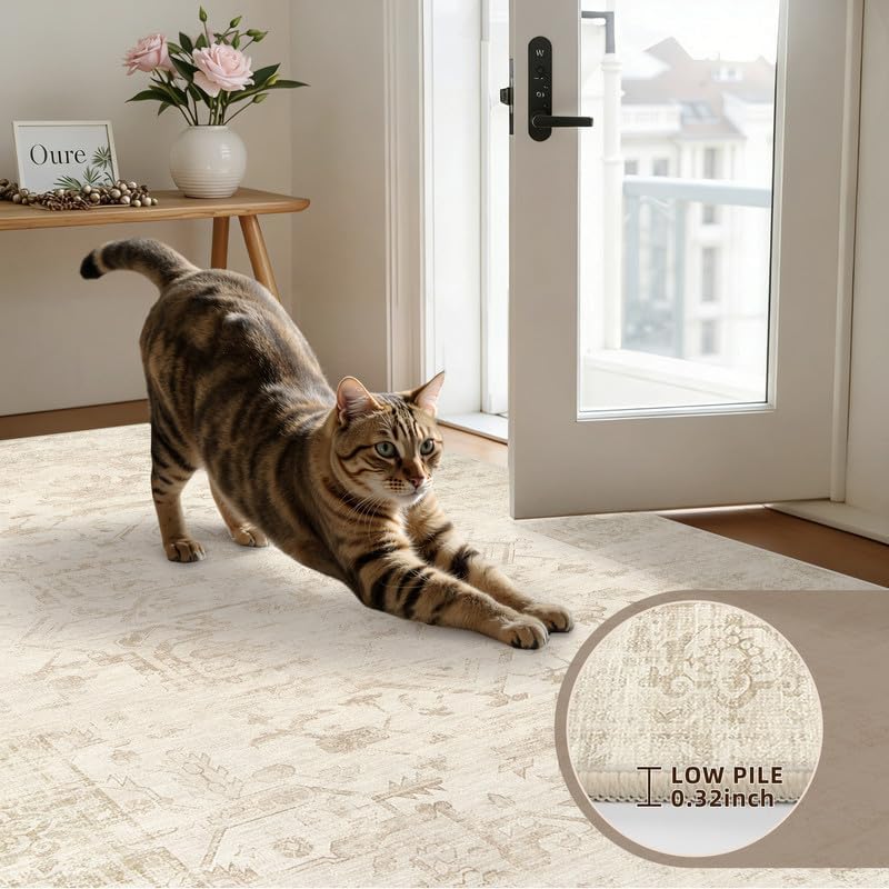 Round Area Rug Living Room: 6ft Washable Carpet Beige/Brown - Image 6
