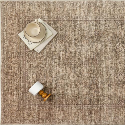 PureCozy Brown Area Rug 6x9 Vintage Retro Distressed - Image 6